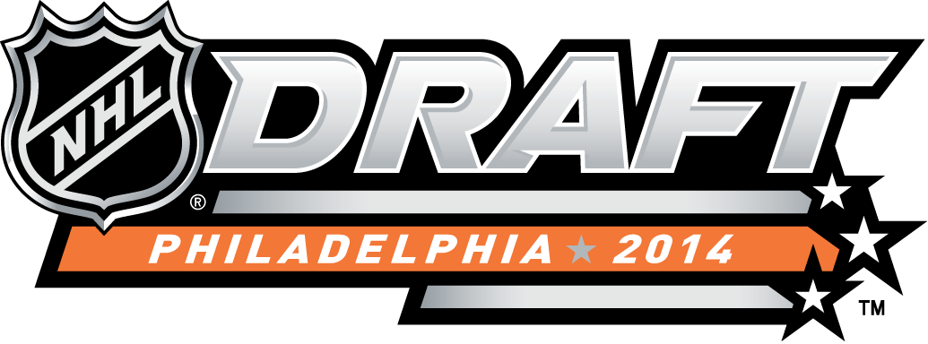 NHL Draft 2014 Alternate Logo iron on heat transfer
